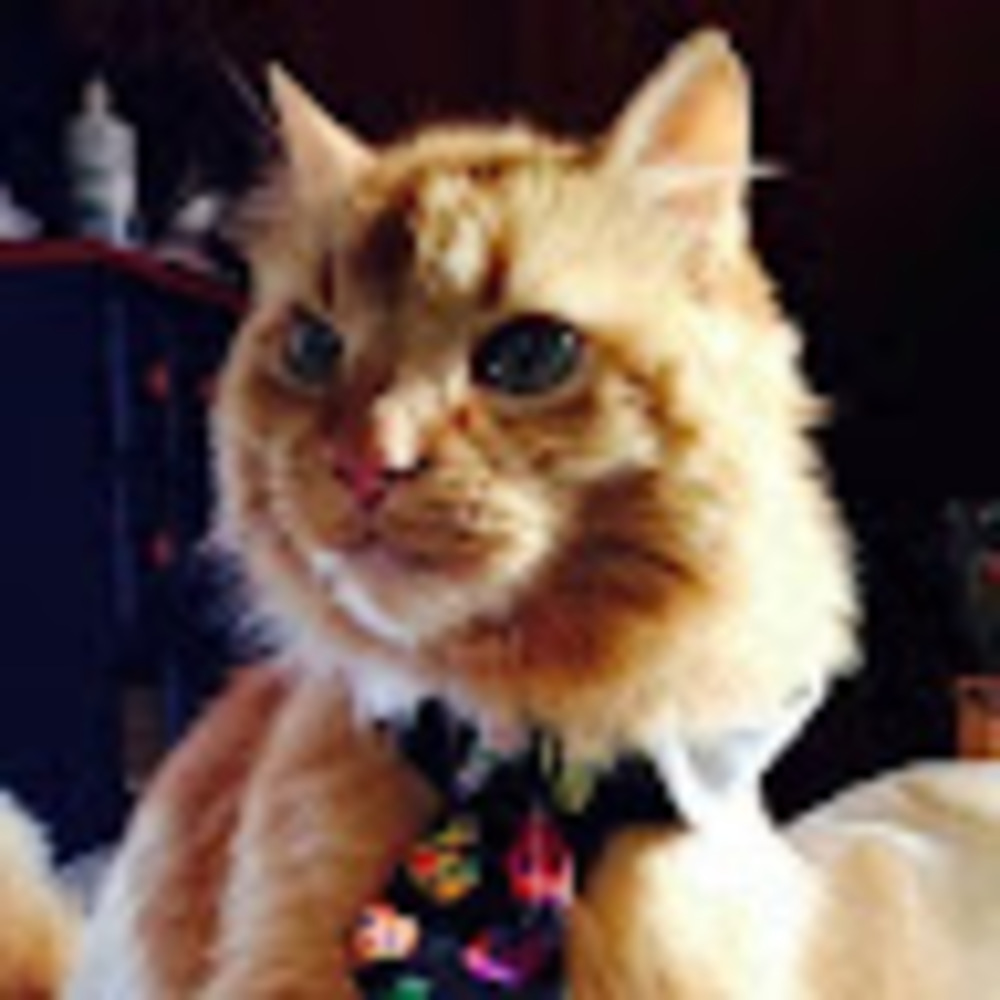 Meet your Posher, Dru